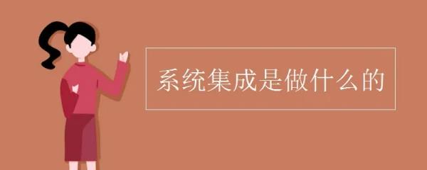 系统集成做什么