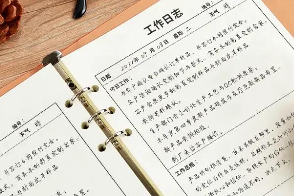 敏捷项目中的问题日志怎么写好